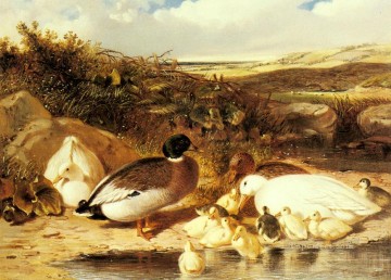 ジョン・フレデリック・ヘリング・シニア Painting - 川の上のマガモとアヒルの子 ニシン・シニアのジョン・フレデリック馬